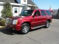 2003 Escalade AWD #5