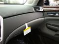 2010 SRX V6 #20