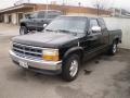1995 Dakota SLT Extended Cab #2