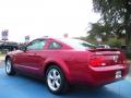 2007 Mustang V6 Premium Coupe #3