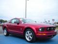 2007 Mustang V6 Premium Coupe #7