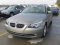 2008 5 Series 528i Sedan #1