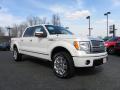 2010 F150 Platinum SuperCrew 4x4 #1
