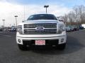 2010 F150 Platinum SuperCrew 4x4 #7