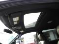 2010 F150 Platinum SuperCrew 4x4 #18