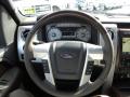 2010 F150 Platinum SuperCrew 4x4 #20