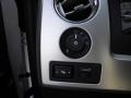 2010 F150 Platinum SuperCrew 4x4 #31