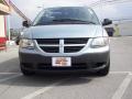 2006 Caravan SE #3