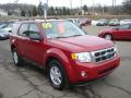 2009 Escape XLT V6 4WD #6