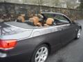 2007 3 Series 335i Convertible #21