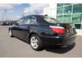 2008 5 Series 528i Sedan #4