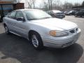 2001 Grand Am SE Sedan #8