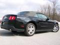 2010 Mustang V6 Convertible #7