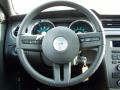 2010 Mustang V6 Convertible #18