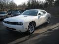 2010 Challenger SE #2