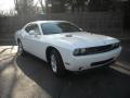 2010 Challenger SE #4