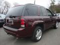 2007 TrailBlazer LT 4x4 #4 2007 TrailBlazer LT 4x4 #4