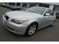 2008 5 Series 535i Sedan #10