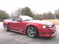 2000 Mustang Saleen S281 Speedster #11