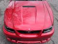 2000 Mustang Saleen S281 Speedster #17
