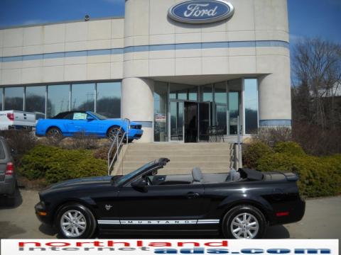 Black Ford Mustang V6 Convertible.  Click to enlarge.
