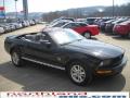 2009 Mustang V6 Convertible #4