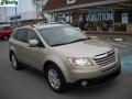 2008 Tribeca Limited 7 Passenger #1