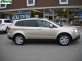 2008 Tribeca Limited 7 Passenger #2