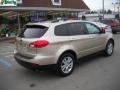 2008 Tribeca Limited 7 Passenger #3