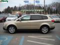2008 Tribeca Limited 7 Passenger #6