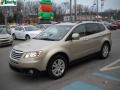 2008 Tribeca Limited 7 Passenger #14