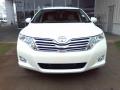 2009 Venza I4 #2