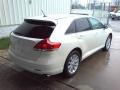2009 Venza I4 #16