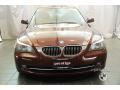 2010 5 Series 528i xDrive Sedan #9