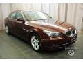 2010 5 Series 528i xDrive Sedan #10