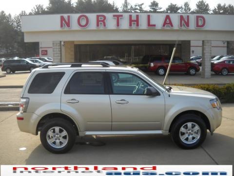 Gold Leaf Metallic Mercury Mariner I4.  Click to enlarge.