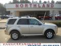 2010 Mariner I4 #1