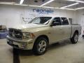 2010 Ram 1500 Big Horn Crew Cab 4x4 #4 2010 Ram 1500 Big Horn Crew Cab 4x4 #4