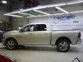 2010 Ram 1500 Big Horn Crew Cab 4x4 #23 2010 Ram 1500 Big Horn Crew Cab 4x4 #23