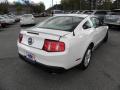 2010 Mustang V6 Coupe #10