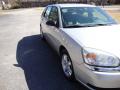 2005 Malibu Maxx LS Wagon #14