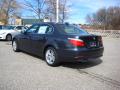 2010 5 Series 528i xDrive Sedan #3