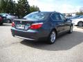 2010 5 Series 528i xDrive Sedan #5