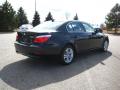 2010 5 Series 528i xDrive Sedan #5 2010 5 Series 528i xDrive Sedan #5