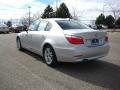 2010 5 Series 528i xDrive Sedan #3