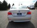 2010 5 Series 528i xDrive Sedan #4