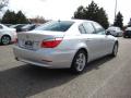 2010 5 Series 528i xDrive Sedan #5