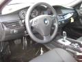 2010 5 Series 528i xDrive Sedan #9