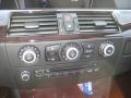 2010 5 Series 528i xDrive Sedan #13
