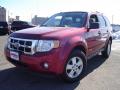 2008 Escape XLT V6 #1